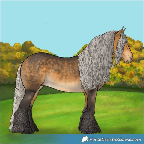 Horse Color:Silver Buckskin 