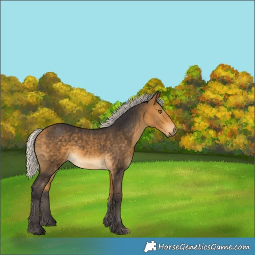Horse Color:Silver Buckskin 