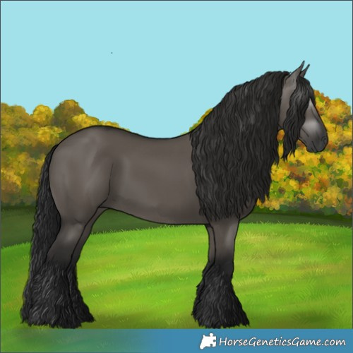 Horse Color:Gray Grullo 
