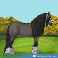 Horse Color:Gray Grullo 