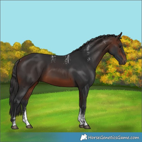 Horse Color:Powder White Brown 