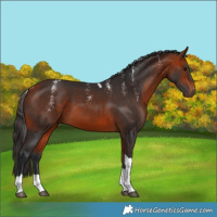 Horse Color:Powder White Bay Tobiano 