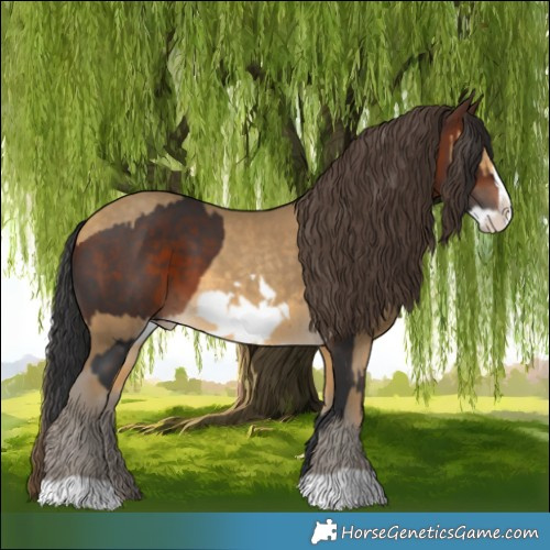 Horse Color:Brown Frame and Amber Cream Champagne Frame