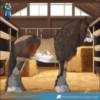 Horse Color:Brown Frame  and Amber Cream Champagne Frame 