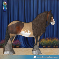 Horse Color:Brown Frame and Amber Cream Champagne Frame