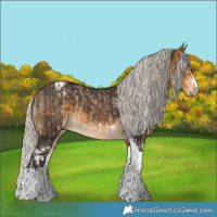 Horse Color:White Spotted Silver Brown Dun Splash and Silver Buckskin Tobiano