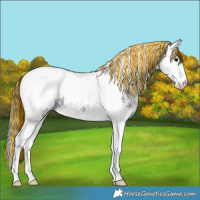 Horse Color:Painted Black Ice Sabino Splash Tobiano Appaloosa