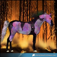 Horse Color:Void Nacre Watercolor Silver Bay Tobiano