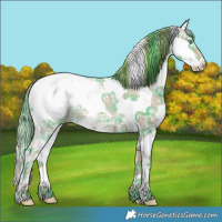 Horse Color:Watercolor Plaid White Spotted Black Ice Splash Tobiano Appaloosa Rabicano