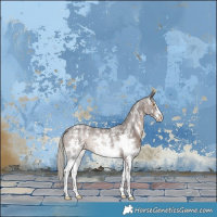 Horse Color:Silver Black Sabino Rabicano 