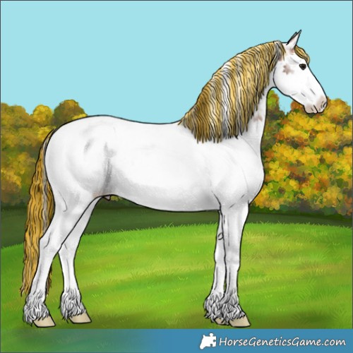 Horse Color:Painted Bay Ice Splash Tobiano Appaloosa 