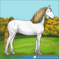 Horse Color:Painted Bay Ice Splash Tobiano Appaloosa