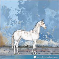 Horse Color:Chocolate Palomino Sabino Rabicano