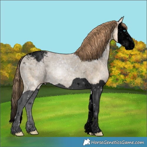 Horse Color:Void Smoky Black Ice Snowdrop Splash Appaloosa