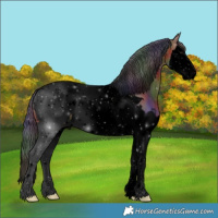 Horse Color:Void Nacre Brown Splash Tobiano Appaloosa 