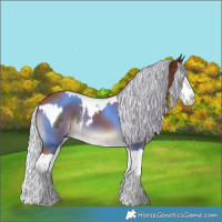 Horse Color:Brown Splash Tobiano  and Silver Brown Splash 