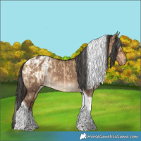 Horse Color:Silver Buckskin Dun Tobiano Rabicano and Liver Red Dun Tobiano Blanket Rabicano