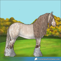 Horse Color:Chocolate Palomino Roan Dun Splash Appaloosa Rabicano  and Liver Red Dun Roan 