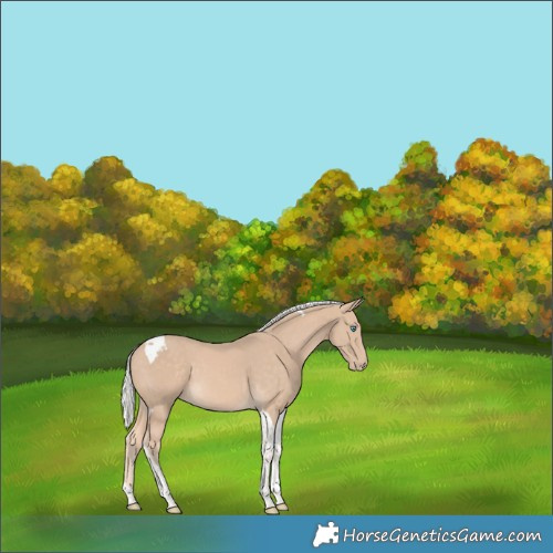 Horse Color:Silver Perlino Tobiano 
