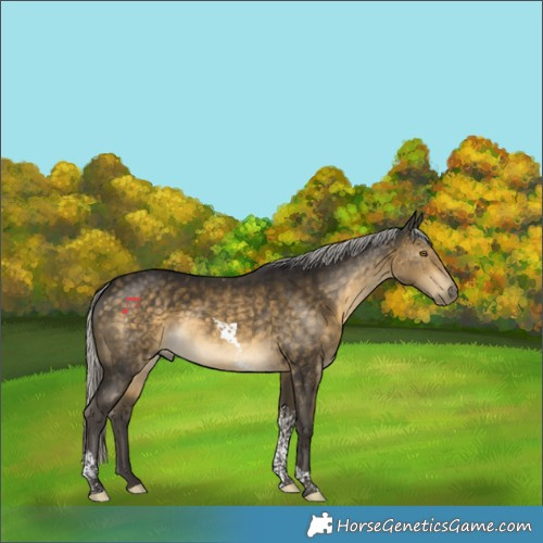 Horse Color:Silver Buckskin Tobiano 