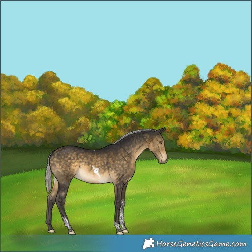 Horse Color:Silver Buckskin Tobiano 