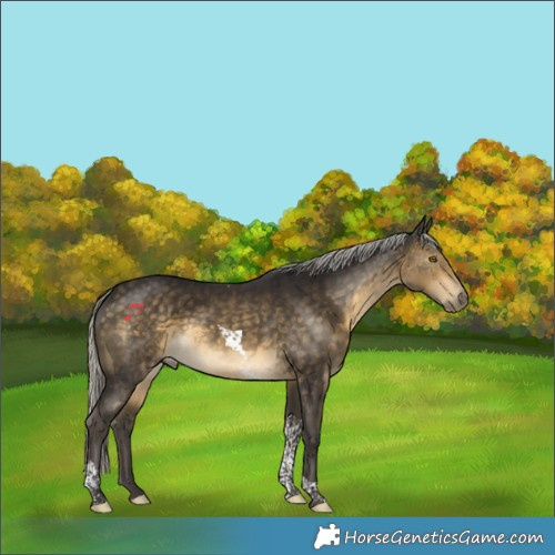 Horse Color:Silver Buckskin Tobiano 