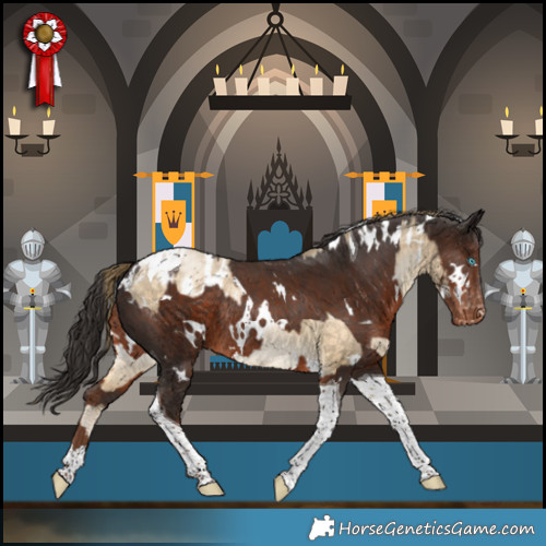 Horse Color:White Spotted Buckskin Pearl Tobiano Appaloosa Rabicano  and White Spotted Liver Chestnut Tobiano Appaloosa Rabicano 