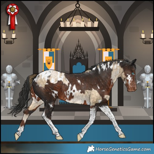Horse Color:White Spotted Buckskin Pearl Tobiano Blanket Rabicano  and White Spotted Liver Chestnut Tobiano Varnish Rabicano 
