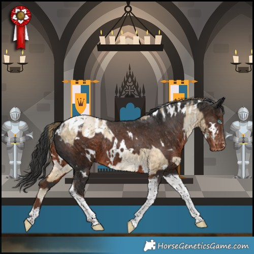 Horse Color:White Spotted Buckskin Pearl Tobiano Appaloosa Rabicano  and White Spotted Liver Chestnut Tobiano Appaloosa Rabicano 