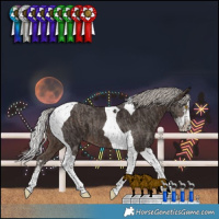 Horse Color:Silver Black Tobiano  and Silver Brown Splash Tobiano 
