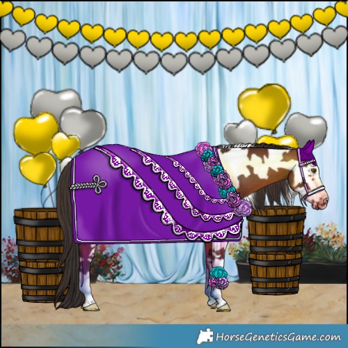 Horse Color:Bay Frame 