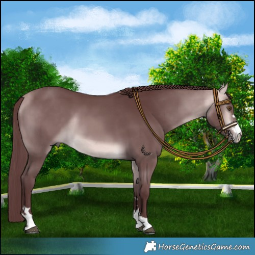 Horse Color:Platinum Chocolate Buckskin 
