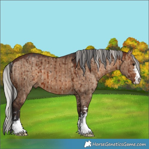 Horse Color:Brown Dun Brindle  and Silver Brown Dun Brindle 