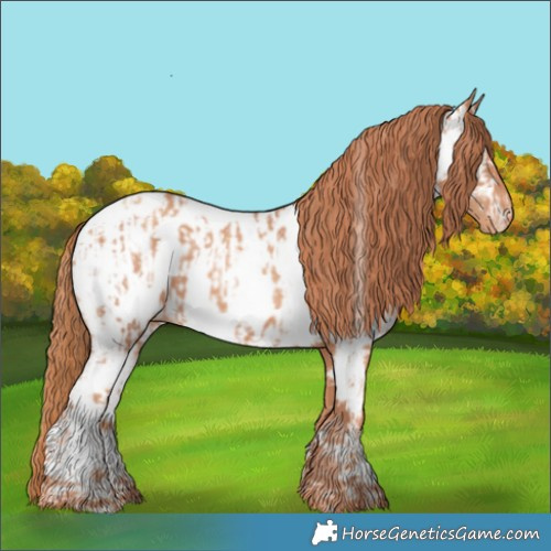 Horse Color:Gold Champagne Near Leopard and Gold Champagne Near Fewspot