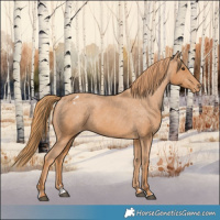 Horse Color:Chestnut Varnish 