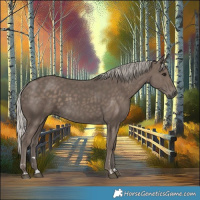 Horse Color:Silver Black 
