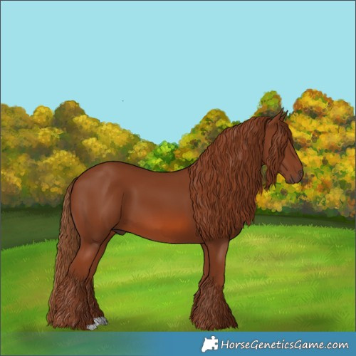 Horse Color:Chestnut 