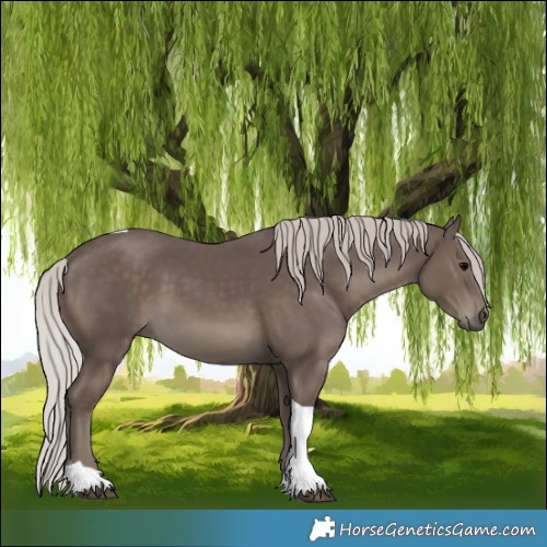 Horse Color:Silver Black Tobiano 