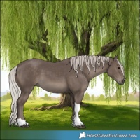 Horse Color:Silver Black Tobiano 