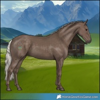Horse Color:Silver Black 