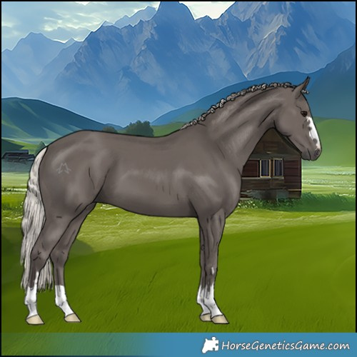Horse Color:Silver Black 