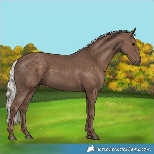 Horse Color:Silver Black 