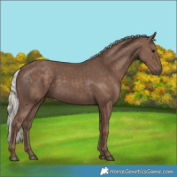 Horse Color:Silver Black 