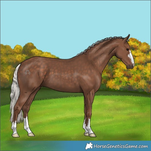 Horse Color:Silver Black