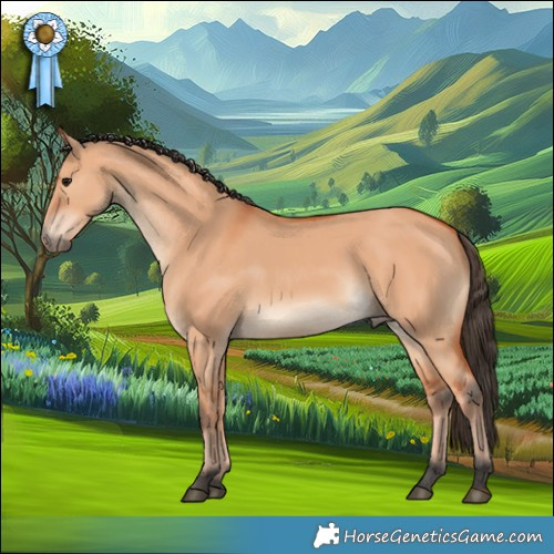 Horse Color:Bay Dun 