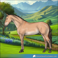Horse Color:Bay Dun