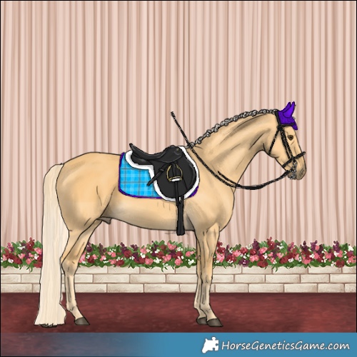 Horse Color:Palomino 