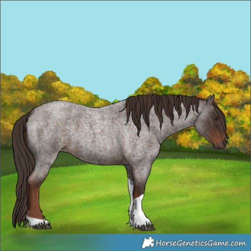 Horse Color:Liver Red Roan Tobiano 