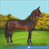Horse Color:Brown 
