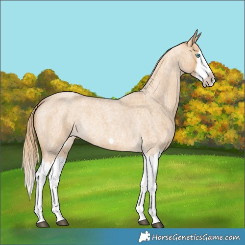 Horse Color:Red Dun Roan Splash Frame Rabicano 